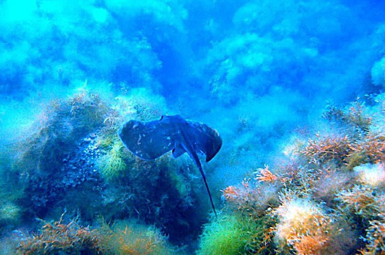 Черное море под водой